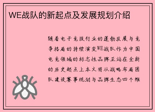 WE战队的新起点及发展规划介绍