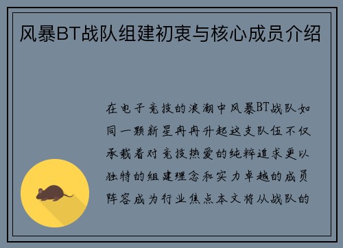 风暴BT战队组建初衷与核心成员介绍